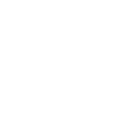 Globally Recognized Degrees