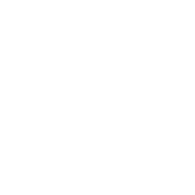 Government Scholarships